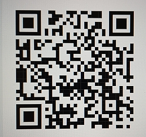 Unsere Online-Assistenin Maxi hilft euch bei der Anmeldung.